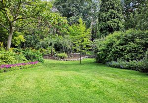 Optimiser l'expérience du jardin à Geishouse